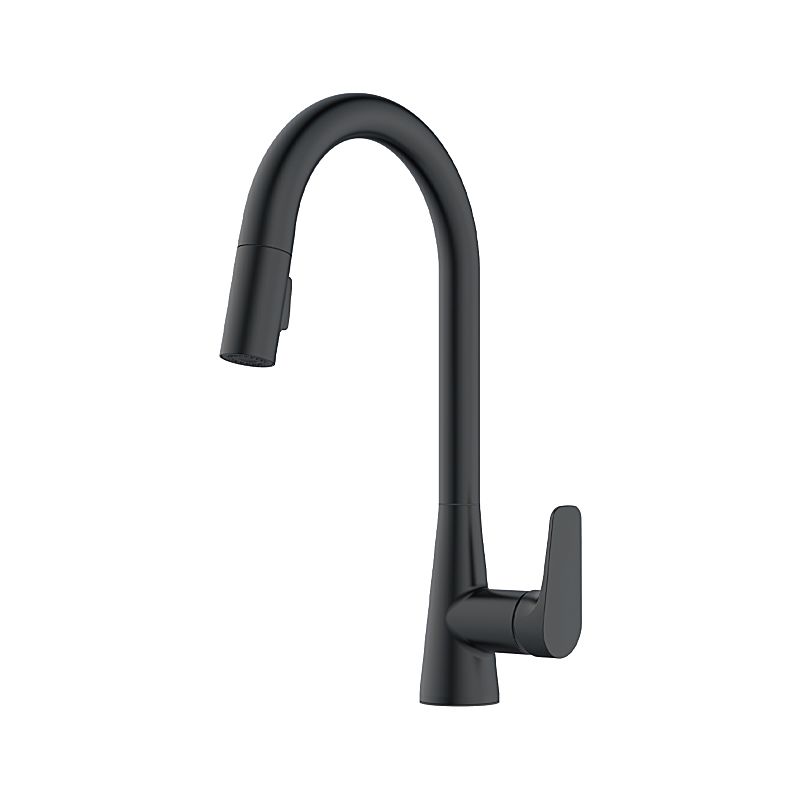 91355-BL Ixa Jive Single Handle Pull-Down Kitchen Faucet : Kitchen ...